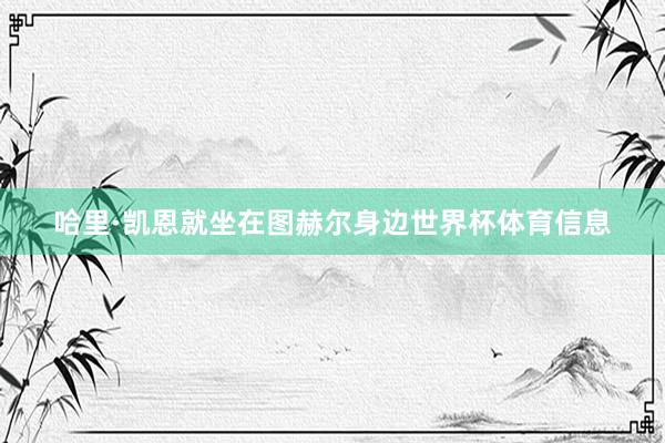 哈里·凯恩就坐在图赫尔身边世界杯体育信息